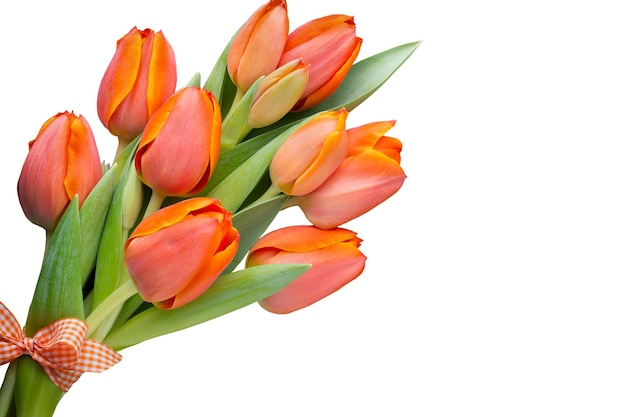 Tulipani arancioni su sfondo grigio