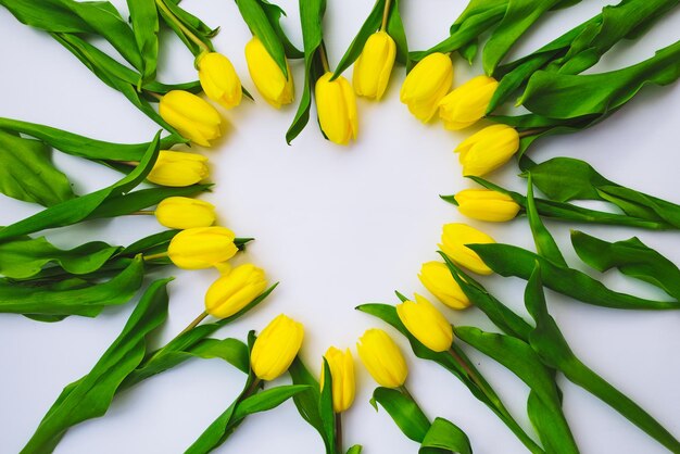 Sovraccarico di tulipani su sfondo bianco nello spazio della copia a forma di cuore