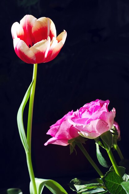 Tulips and roses on black