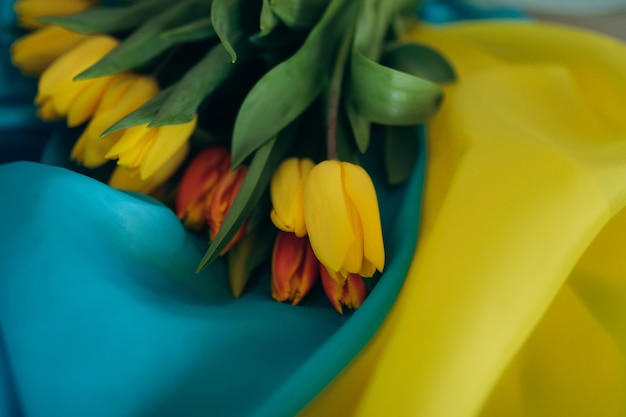 Tulips on the ukrainian flag selective focus copy space