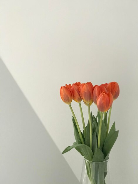 Photo tulips in vase