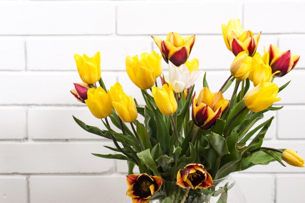 Tulips in a vase