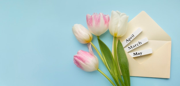 Фото Тюльпаны с этикетками весенних месяцев и конверт