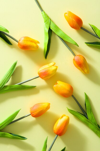 Tulips on yellow