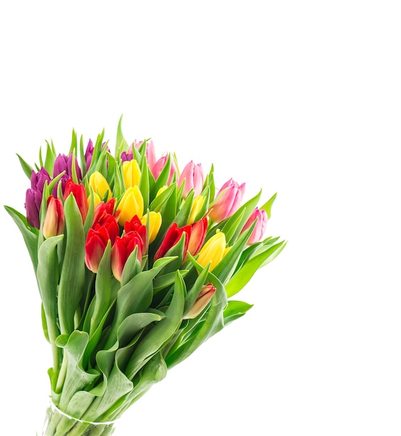 Tulp bloemen boeket geïsoleerd op witte achtergrond