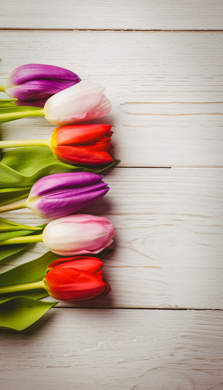 Foto tulp op houten tafel