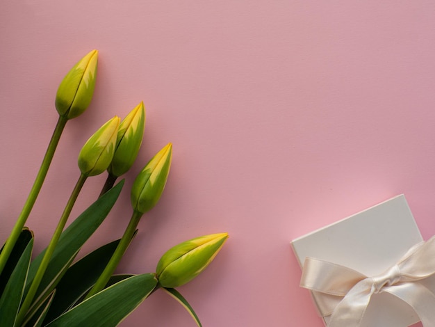 Tulpen bloemen witte geschenkdoos met een boog en papieren achtergrond met kopieerruimte