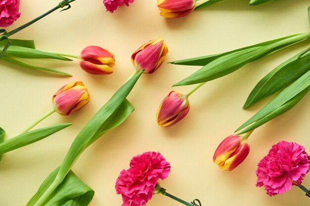 Tulpen en anjers op licht