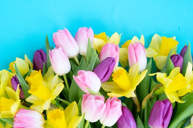 Tulpen en gele narcissen bloemen geïsoleerd