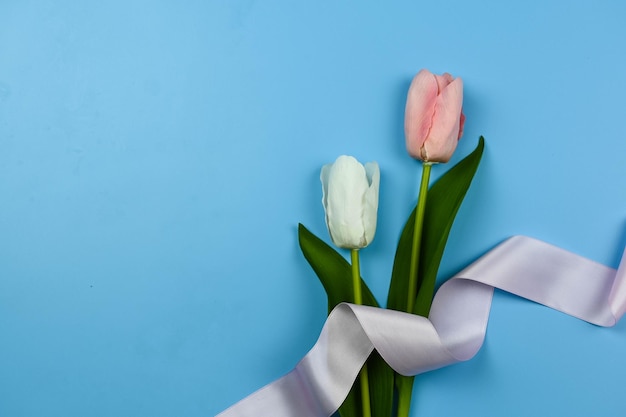 Tulpen en linten op blauwe achtergrond