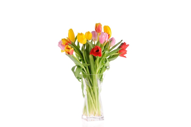 Tulpen in de studio