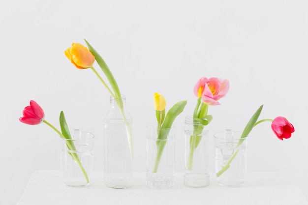 Tulpen in glazen flessen