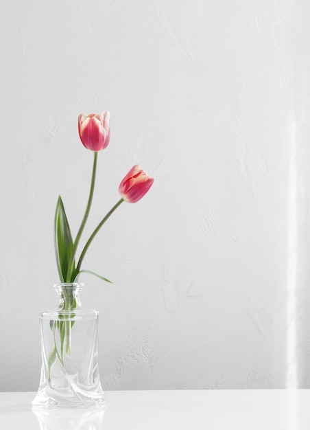 Tulpen in glazen vaas op witte achtergrond