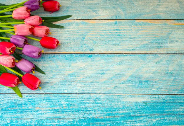 Tulpen op blauwe houten achtergrond