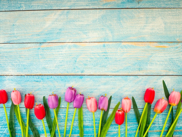 Tulpen op blauwe houten achtergrond