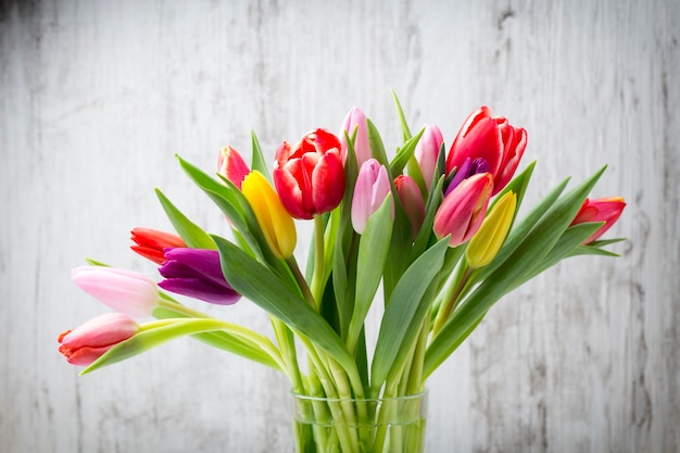 Tulpen op de grijze muur.