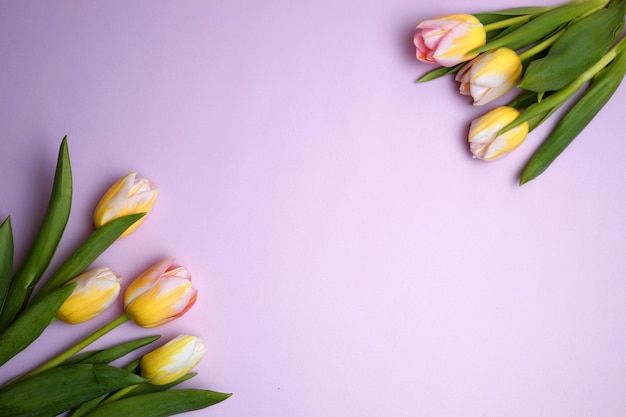 Tulpen op een blauwe achtergrond