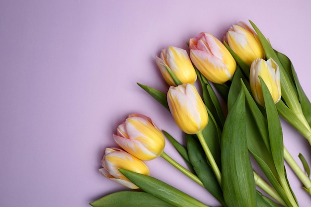 Tulpen op een blauwe achtergrond