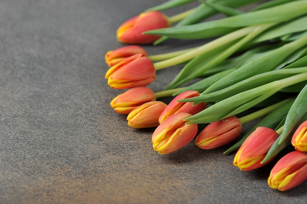 Tulpen op een grijze achtergrond