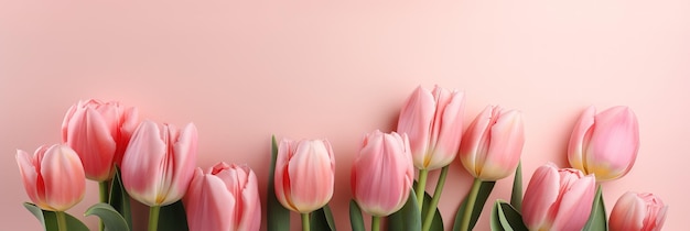 tulpen op roze pastel achtergrond