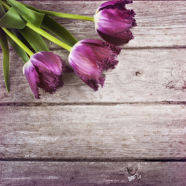 Tulpen op schuur houten achtergrond