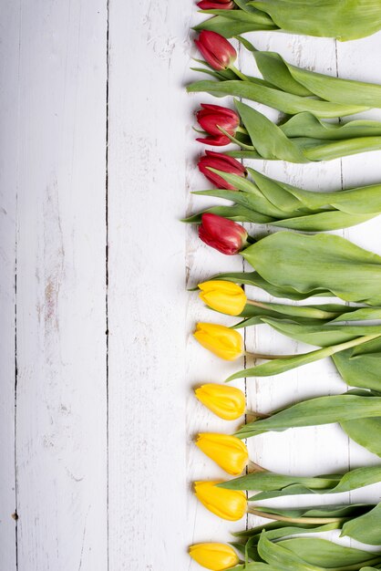 Tulpen op witte houten plankenvooravond