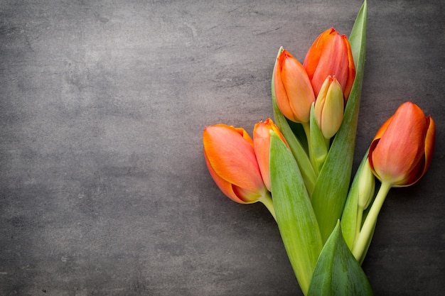 Tulpen, oranje op de grijze achtergrond.