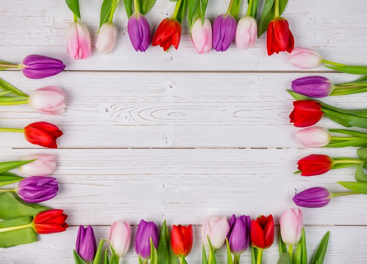 Foto tulpen vormen frame