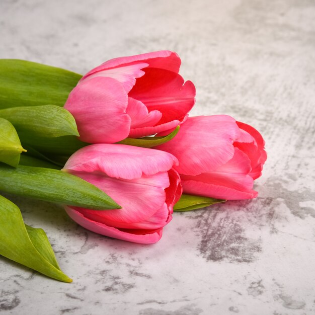 Tulpen zijn helder, fris, roze op een lichtgrijze tafel