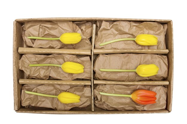 Tulpenbloemen in een kartonnen doos geïsoleerd op een witte achtergrond Zes gele tulpen zonder bladeren