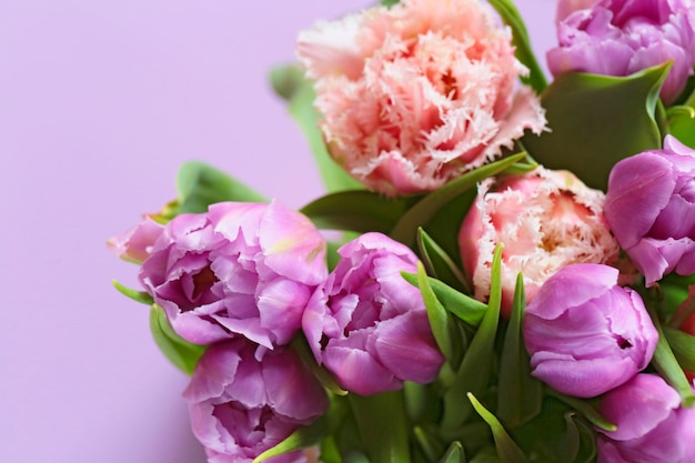 Tulpenboeket. tulpen op een zacht paarse ondergrond. boeket van lila en roze badstof tulpen bloemen op een lila oppervlak