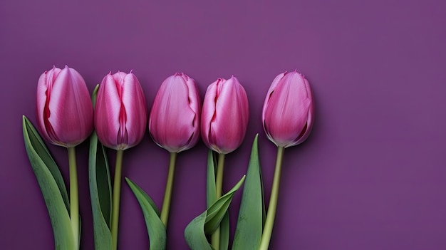 Tulpengrens met kopieerruimte op een gekleurde achtergrond Mooie framesamenstelling van lentebloemen Generatieve AI