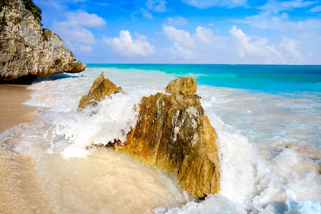 Palma della spiaggia di tulum in riviera maya