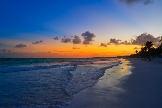 Palma di tramonto della spiaggia di tulum riviera maya