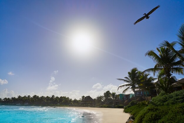 Tulum Caribisch strand in Riviera Maya