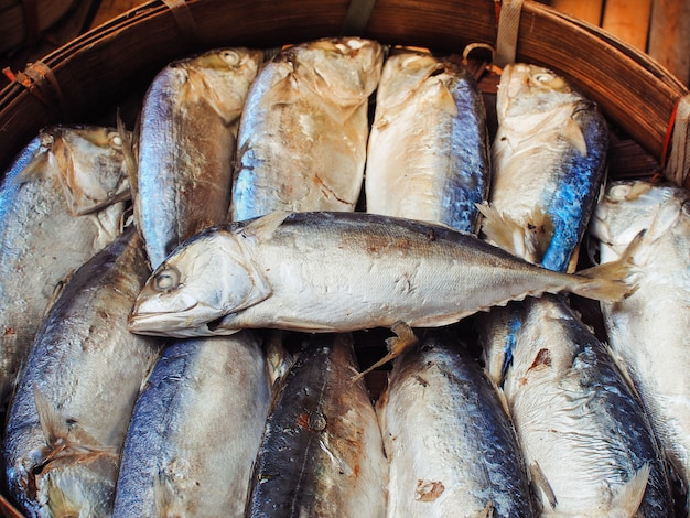 Tuna fish are sold at market. Bangkok, Thailand