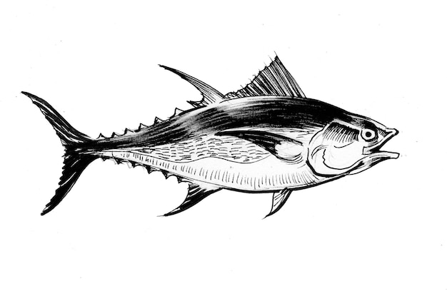 Photo tuna fish. ink black and white drawing