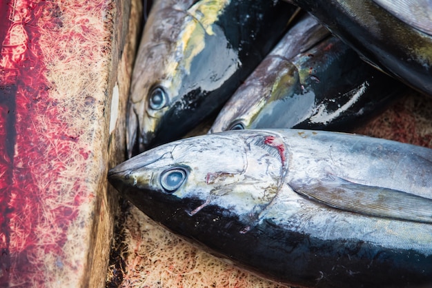 モルジブの男性の魚市場で販売するマグロ魚