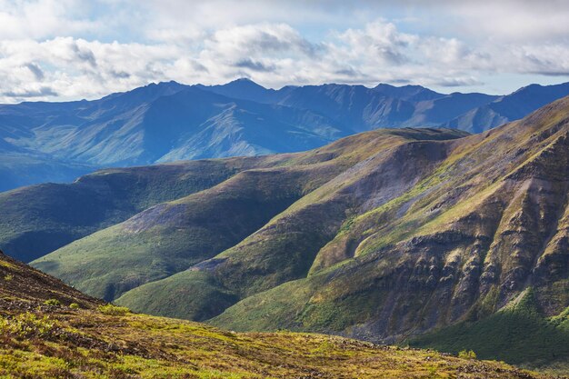 Tundra in Canada