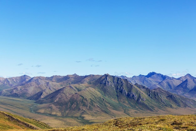 Tundra in Canada