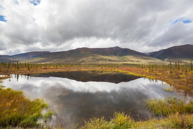 Tundra landscapes above Arctic circle in autumn season Beautiful natural background