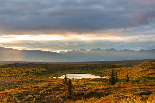 秋の北極圏の上のツンドラの風景美しい自然の背景