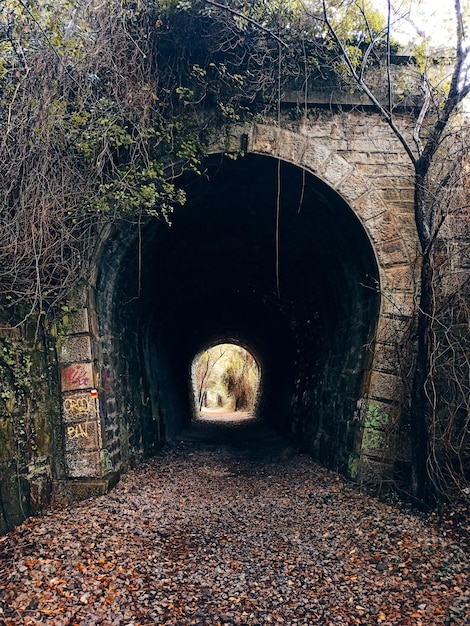 Photo túnel de piedra en medio del sendero
