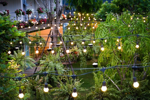 La linea di luce al tungsteno è stata decorata di notte nel giardino del contenitore.