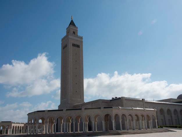 Tunis in africa