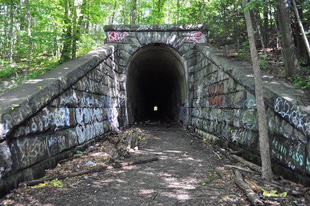 Foto tunnel met brug