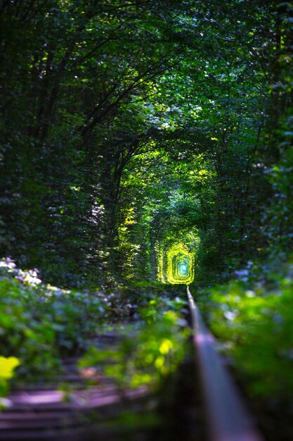 Tunnel of Love bij de UkrainexA