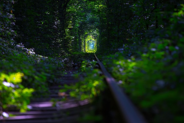 Tunnel of Love bij de UkrainexA