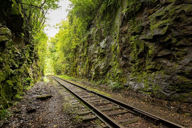 Foto tunnel oude trein