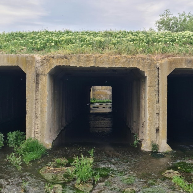 A tunnel that has the word water on it